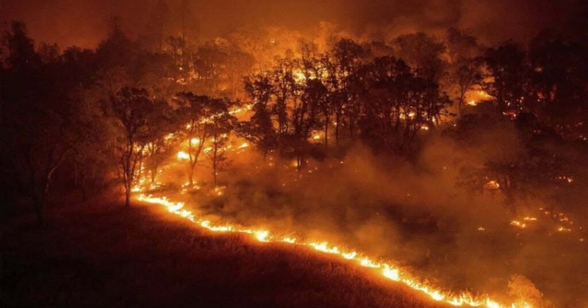 Apelul unui senator PNL, după incendiul masiv din Parcul Naţional Domogled: „Trebuie să corectăm rapid ce nu a funcționat”