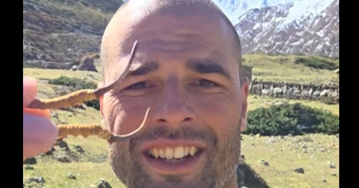 Un culegător de ciuperci polonez a găsit „Viagra din Himalaya”, o trufă rară care poate ajunge la 100.000 de dolari pe kilogram